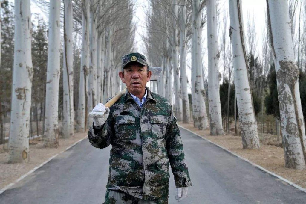 国家荣誉称号获得者——王有德-图片2