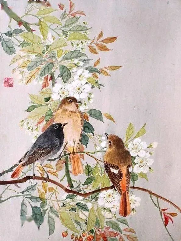 陈仲年工笔花鸟画赏析！-图片1