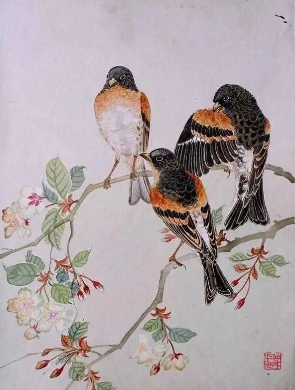 陈仲年工笔花鸟画赏析！-图片3