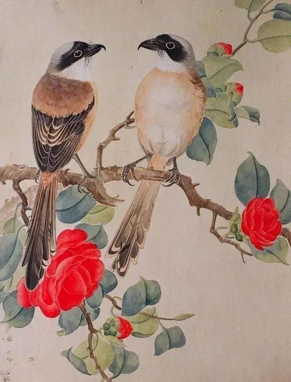 陈仲年工笔花鸟画赏析！-图片4