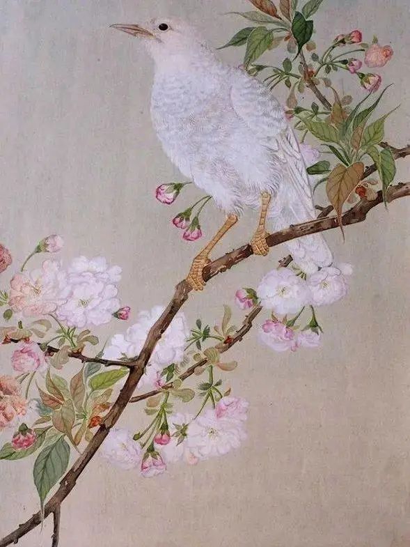 陈仲年工笔花鸟画赏析！-图片4
