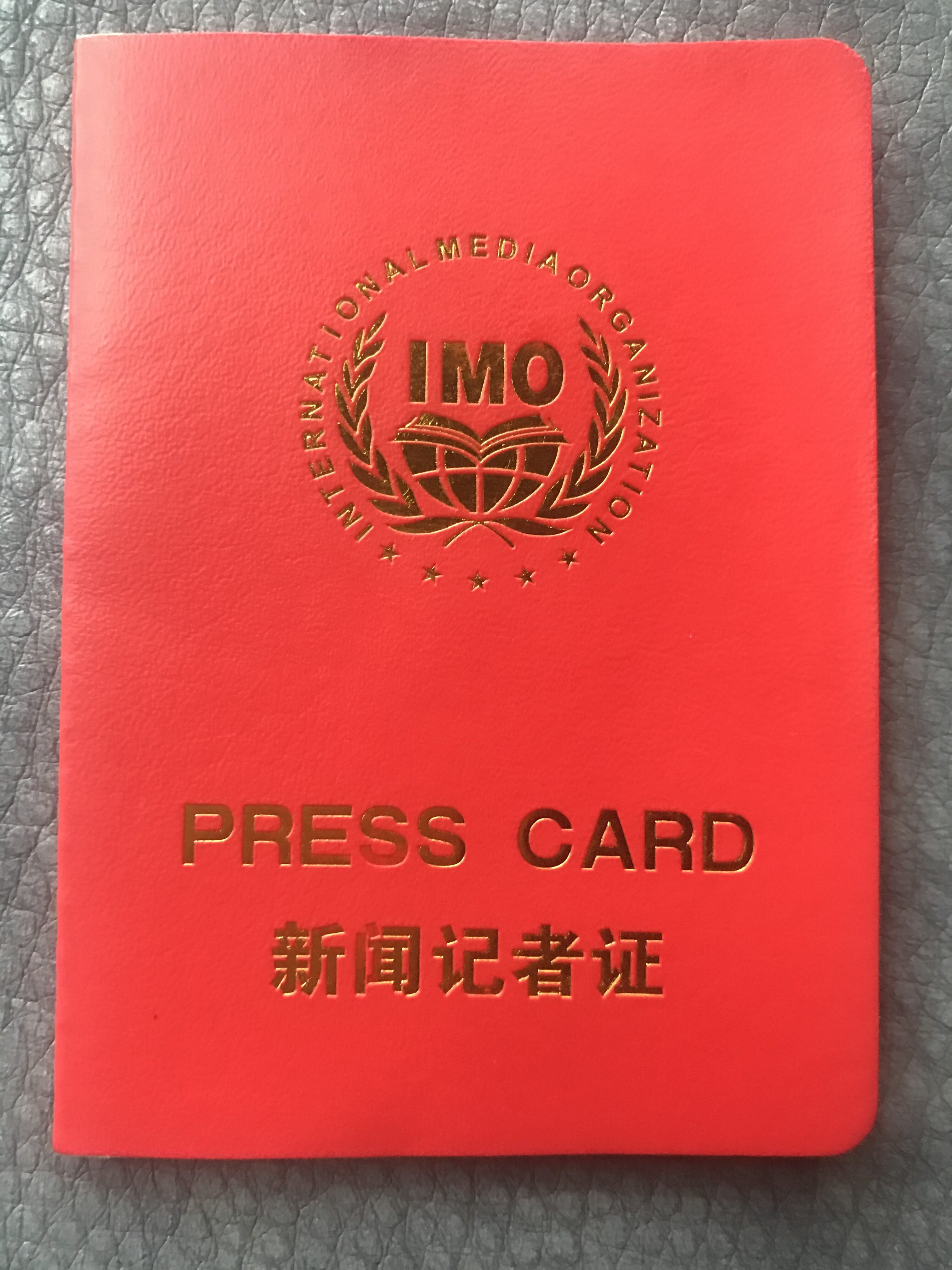 戴爱雄-中国国际救援中心总院长助理-图片2