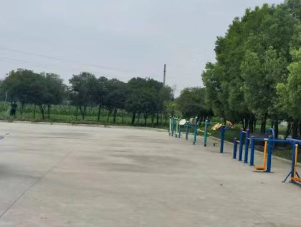 心系家乡回馈社会——优秀企业家付文月宁弃厚禄扎根家乡