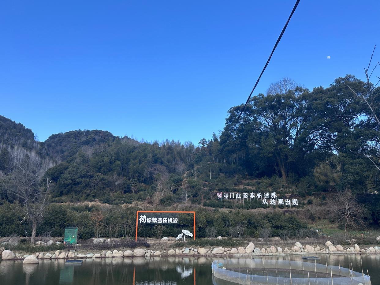 守护千年家族祭祀文化的传承者|中国传真新闻社专访国家级非遗传承人陈敦和-图片4