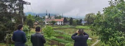湖南省新化县对全县禁种铲毒工作开展情况进行专项督查